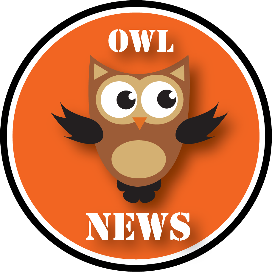  Owl News Art